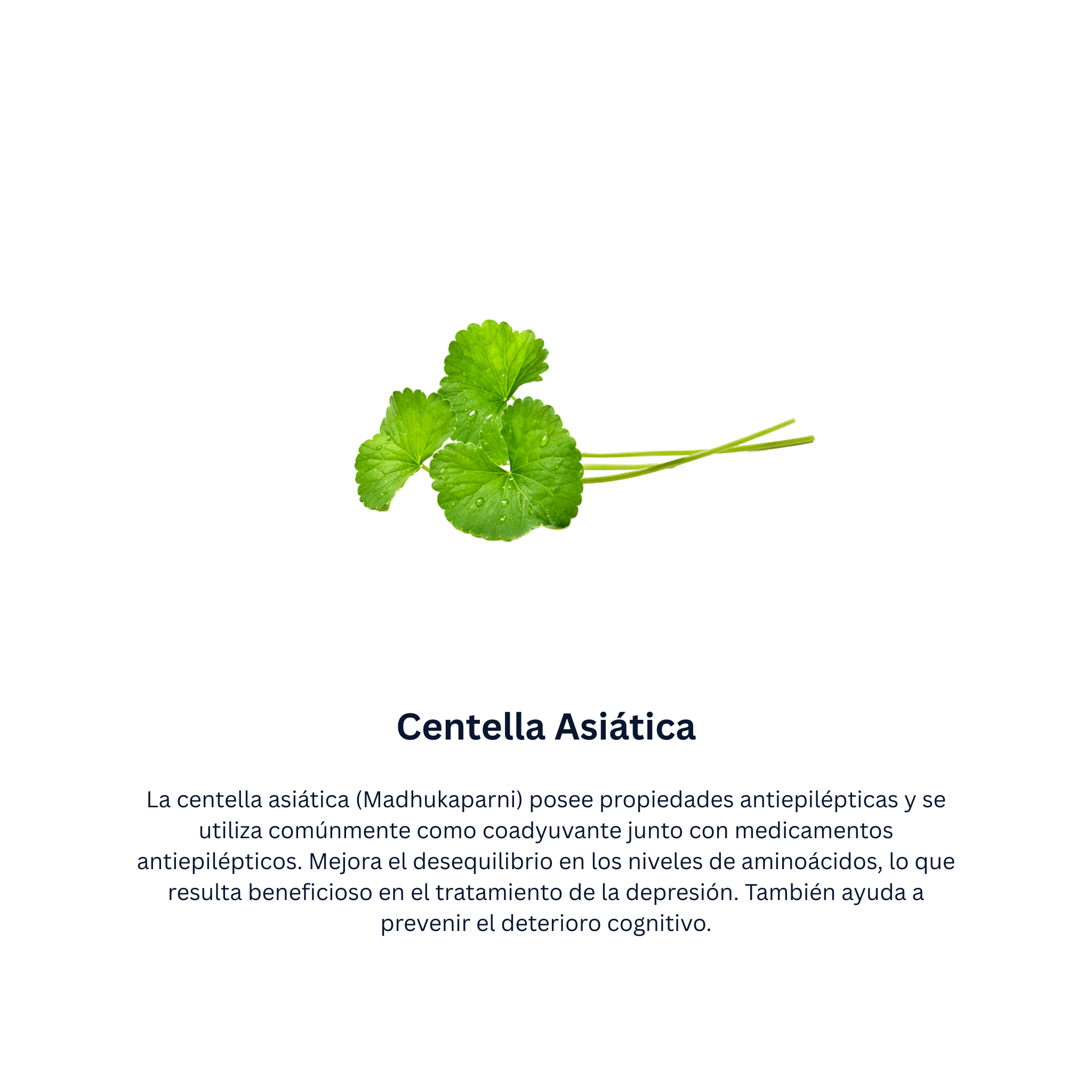 Mentat Tabletas