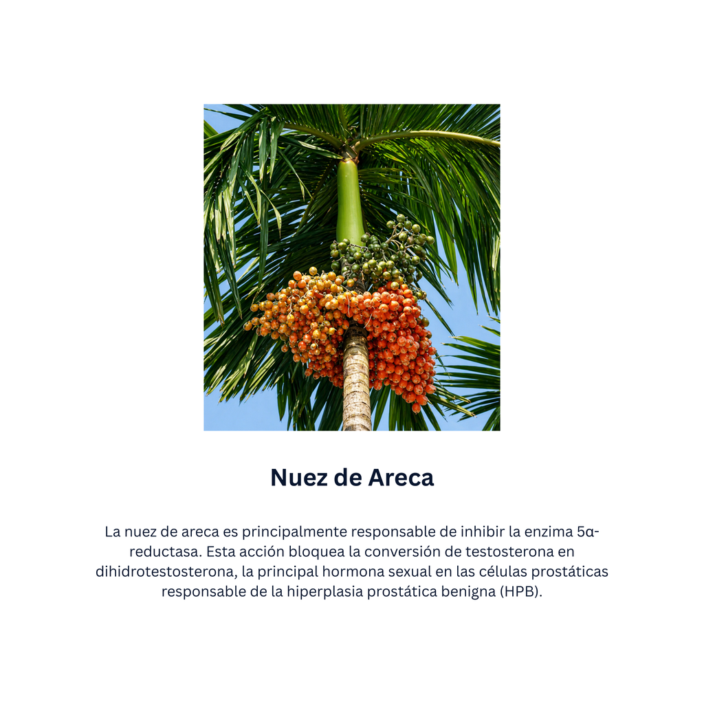 Himplasia Tabletas