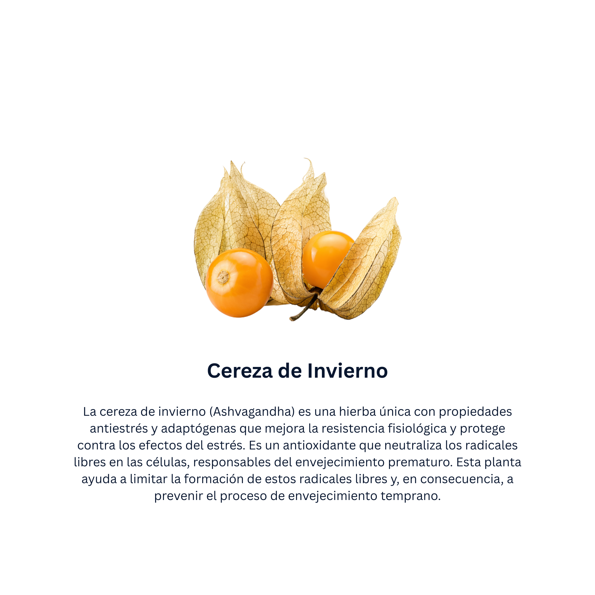 Geriforte