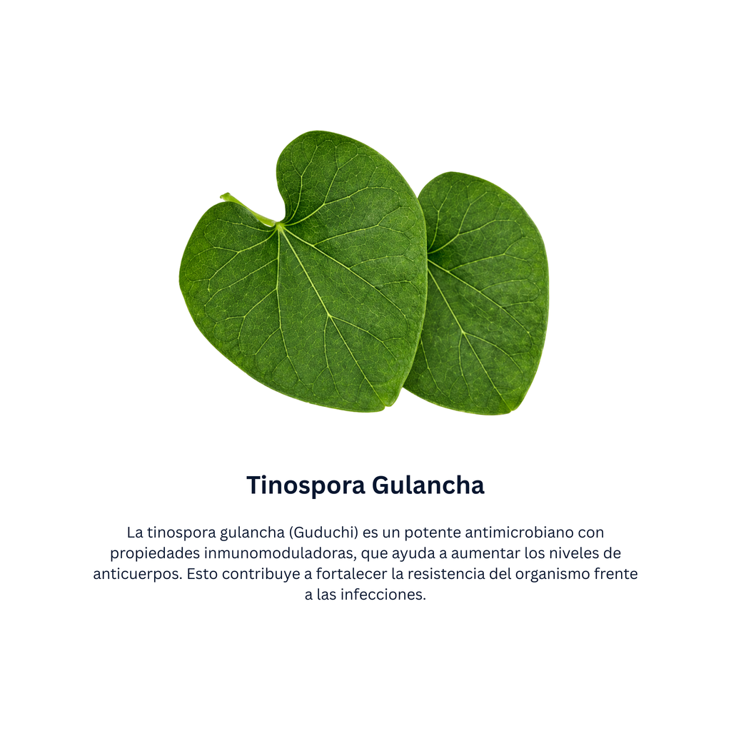 Septilin Tabletas