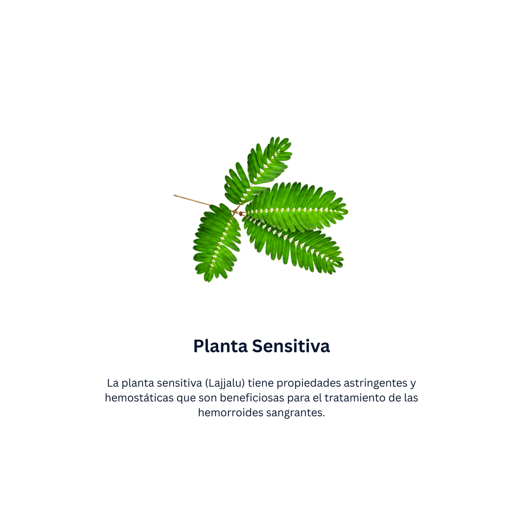 Pilex Unguento