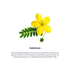 Himplasia Tabletas