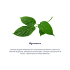 Ayurslim