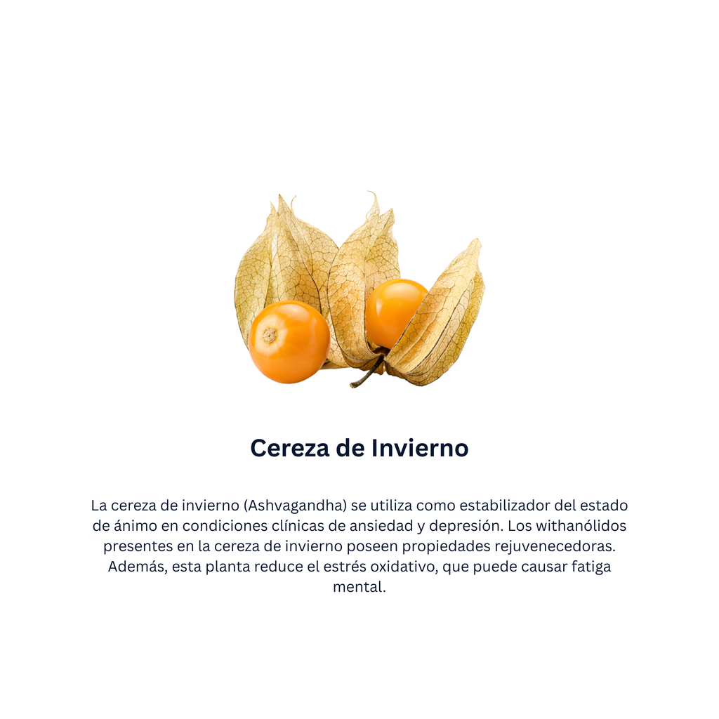 Mentat Jarabe