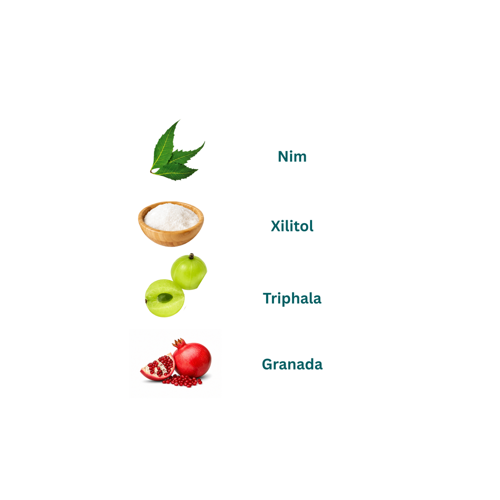 Pasta Dental Neem Pomegranate