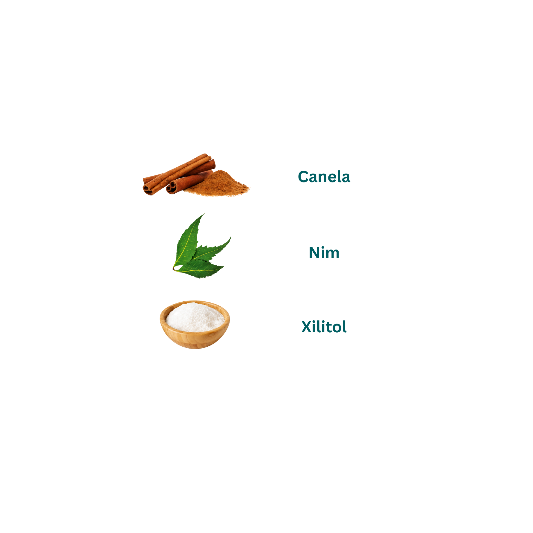 Pasta Dental Canela