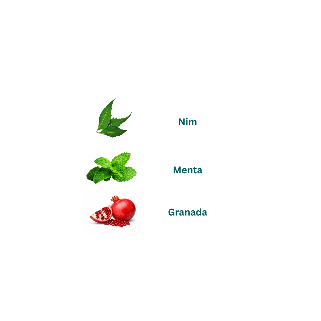 Pasta Dental Menta