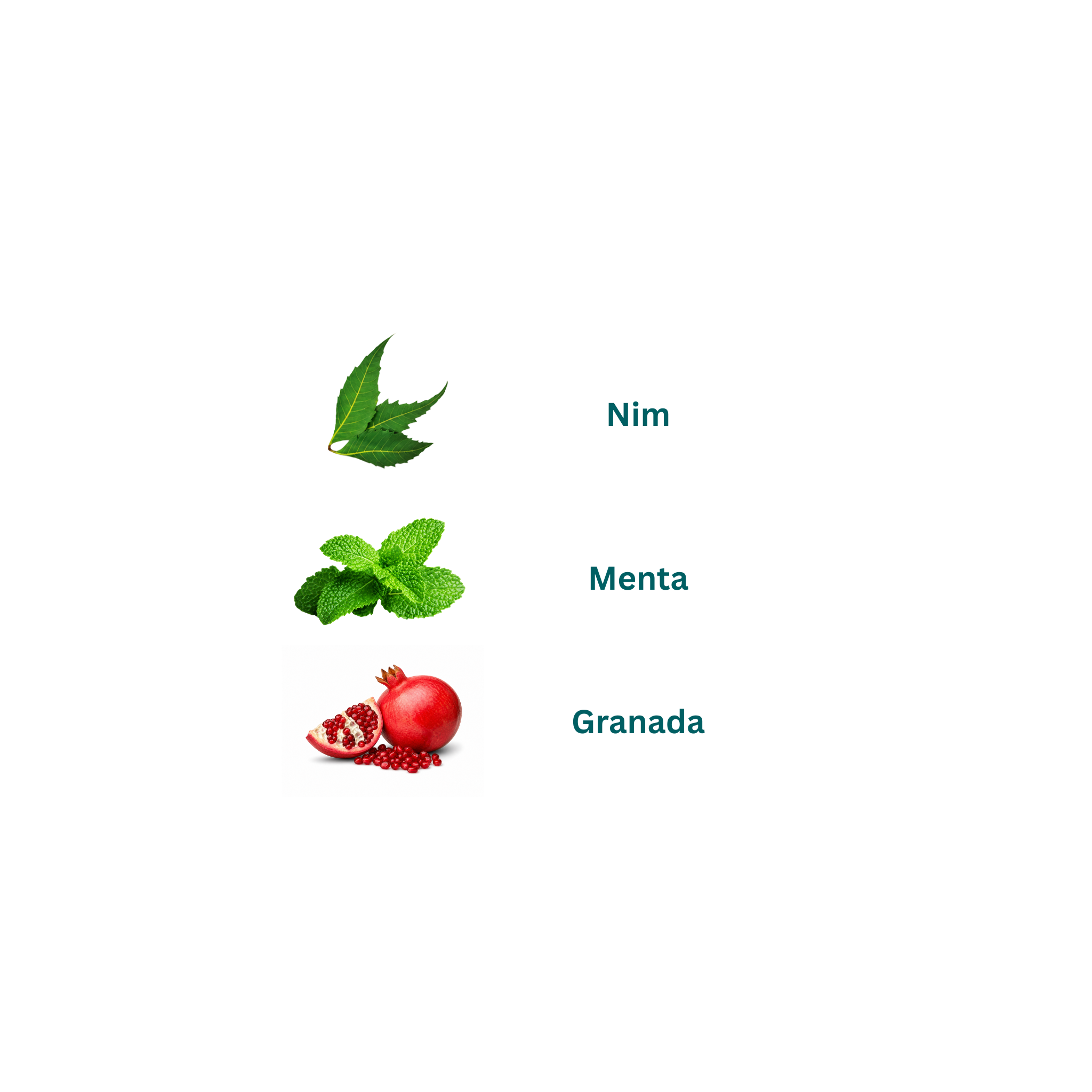 Pasta Dental Menta