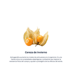 Immunol Vet Líquido