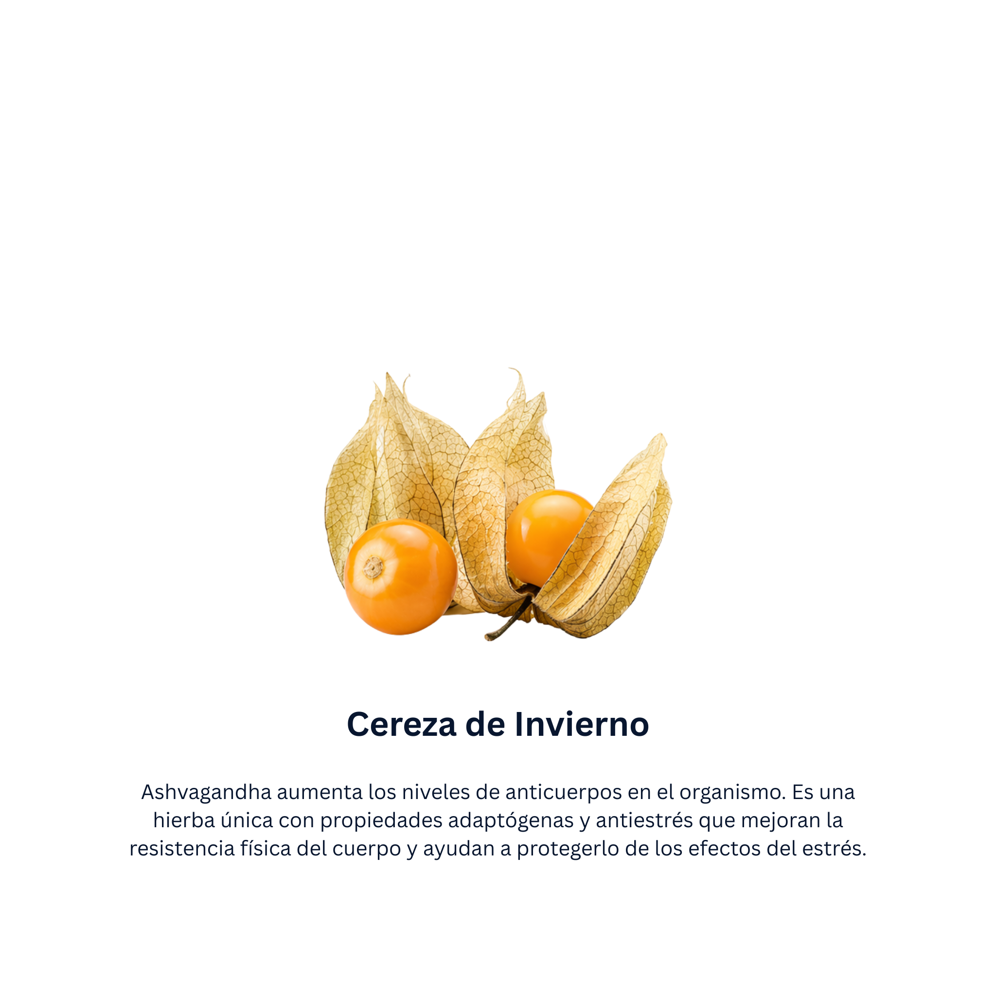 Immunol Vet Líquido
